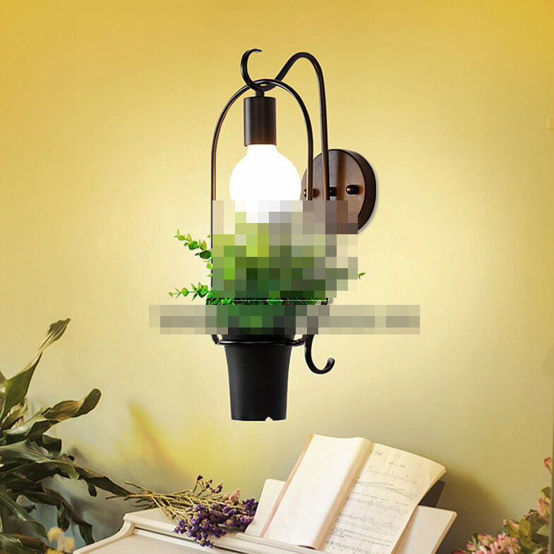Pvie Lumière